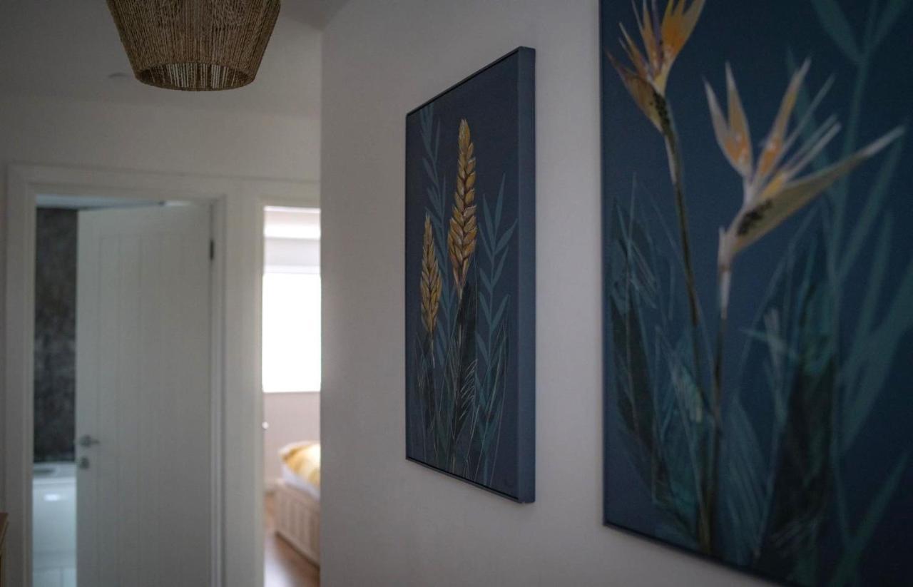 The Red House Modern Stylish Home From Home Walking Distance To Cardiff Bay And City Centre With Parking Exterior photo